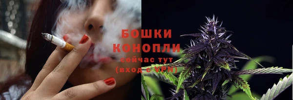 PSILOCYBIN Нязепетровск